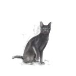 Royal Canin Sterilised 2 kg โรยัล คานิน อาหารเม็ด แมวโตทำหมัน อายุ 1 ปีขึ้นไป ดูแลรูปร่าง ระบบปัสสาวะ (Sterilised 37) - Image 7