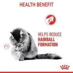Royal Canin Hairball Care (โรยัล คานิน) อาหารเปียกสำหรับแมวโต อายุ 1 ปีขึ้นไป สูตรดูแลปัญหาก้อนขน แบ่งขาย 1 ซอง - Image 3