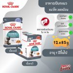 Royal Canin Hairball Care ยกกล่อง 12 ซอง (โรยัล คานิน) อาหารเปียกสำหรับแมวโต อายุ 1 ปีขึ้นไป สูตรดูแลปัญหาก้อนขน