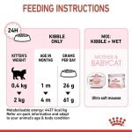 Royal Canin Mother & Babycat ขนาด 400 กรัม (โรยัล คานิน) อาหารเม็ดสำหรับแม่แมวตั้งท้องให้นม และลูกแมวหย่านม-4 เดือน - Image 5
