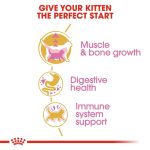 Royal Canin Kitten British Shorthair (โรยัล คานิน) อาหารเม็ด ลูกแมวพันธุ์บริติช ชอร์ทแฮร์ อายุ 2-12 เดือน - Image 3