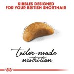 Royal Canin Kitten British Shorthair (โรยัล คานิน) อาหารเม็ด ลูกแมวพันธุ์บริติช ชอร์ทแฮร์ อายุ 2-12 เดือน - Image 4