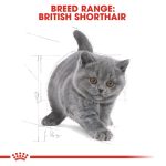 Royal Canin Kitten British Shorthair (โรยัล คานิน) อาหารเม็ด ลูกแมวพันธุ์บริติช ชอร์ทแฮร์ อายุ 2-12 เดือน - Image 8