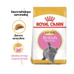 Royal Canin Kitten British Shorthair (โรยัล คานิน) อาหารเม็ด ลูกแมวพันธุ์บริติช ชอร์ทแฮร์ อายุ 2-12 เดือน - Image 2