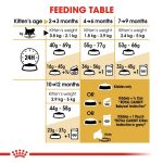 Royal Canin Kitten Persian (โรยัล คานิน) อาหารเม็ด ลูกแมวพันธุ์เปอร์เซีย อายุ 2-12 เดือน สูตรเฉพาะสายพันธุ์ - Image 7