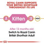 Royal Canin Kitten British Shorthair (โรยัล คานิน) อาหารเม็ด ลูกแมวพันธุ์บริติช ชอร์ทแฮร์ อายุ 2-12 เดือน - Image 5