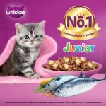 WHISKAS วิสกัส จูเนียร์ อาหารลูกแมว, 2.7 กก. - Image 2