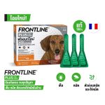หมดอายุ เม.ย.68 FRONTLINE PLUS DOG Size S น้ำหนักไม่เกิน 10 kg ฟรอนท์ไลน์ พลัส หยดกำจัดเห็บหมัด สำหรับสุนัข - Image 2