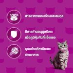 Whiskas วิสกัส อาหารเปียกสำหรับแมวสูงวัย (7 ปี+) ขนาด 80g x14 ซอง สูตรแมวสูงวัย เนื้อนุ่ม ดูแลสุขภาพ - Image 4