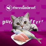 Whiskas วิสกัส อาหารเปียกสำหรับแมวสูงวัย (7 ปี+) ขนาด 80g x14 ซอง สูตรแมวสูงวัย เนื้อนุ่ม ดูแลสุขภาพ - Image 2