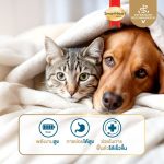 Smartheart Gold Recovery อาหารเปียกแมว 80 กรัม สำหรับดูแลหลังพักฟื้น แมวป่วย แมวไ่ม่สบาย - Image 4