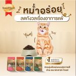 อาหารแมว สมาร์ทฮาร์ท โกลด์ SmartHeart Gold 10 KG. กระสอบ มี inner bag Premium Cat Food - Image 3