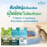 Pramy ทรายแมวเต้าหู้ 20L ทรายเต้าหู้ธรรมชาติ ไร้ฝุ่น จับตัวเป็นก้อนเร็ว ทิ้งชักโครกได้ ยกกระสอบ - Image 4
