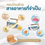 Smartheart Gold Recovery อาหารเปียกแมว 80 กรัม สำหรับดูแลหลังพักฟื้น แมวป่วย แมวไ่ม่สบาย - Image 2