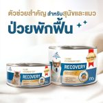 Smartheart Gold Recovery อาหารเปียกสุนัข 170 กรัม สำหรับดูแลหลังพักฟื้น สุนัขป่วย สุนัขไ่ม่สบาย - Image 3