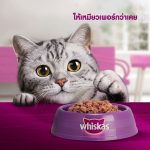 Whiskas วิสกัส อาหารเปียกสำหรับลูกแมว ขนาด 80g x14 ซอง สูตรลูกแมว เนื้อนุ่ม โภชนาการครบถ้วน - Image 3