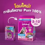 WHISKAS วิสกัส จูเนียร์ อาหารลูกแมว, 2.7 กก. - Image 6