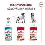 Royal Canin Medium Adult Gravy (โรยัล คานิน) อาหารเปียกแบบซอง สำหรับสุนัขโตพันธุ์กลาง อายุ 1 - 10 ปี - Image 6