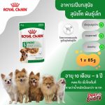 Royal Canin Mini Adult Gravy (โรยัล คานิน) อาหารเปียกแบบซอง สำหรับสุนัขโตพันธุ์เล็ก อายุ 10 เดือน - 8 ปี