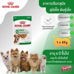 Royal Canin Mini Ageing 8+ Gravy (โรยัล คานิน) อาหารเปียกแบบซอง สำหรับสุนัขสูงวัยพันธุ์เล็ก อายุ 8 ปีขึ้นไป