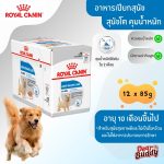 Royal Canin Light Weight Care 12 ซอง (โรยัล คานิน) อาหารเปียกแบบโลฟ (เนื้อละเอียด) สุนัขโตทุกสายพันธุ์ ควบคุมน้ำหนัก