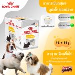 Royal Canin Dermacomfort Loaf 12 ซอง (โรยัล คานิน) อาหารเปียกแบบโลฟ สุนัขโตทุกสายพันธุ์ สุนัขผิวแพ้ง่าย