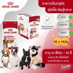 Royal Canin Medium Adult Gravy 10 ซอง (โรยัล คานิน) อาหารเปียกแบบซอง สำหรับสุนัขโตพันธุ์กลาง อายุ 1 - 10 ปี