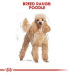 Royal Canin Poodle Adult Loaf (โรยัล คานิน) อาหารเปียกแบบโลฟ (เนื้อละเอียด) สุนัขโตพันธุ์พุดเดิ้ล - Image 3