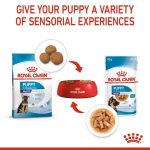 Royal Canin Maxi Puppy Gravy (โรยัล คานิน) อาหารเปียกแบบซอง สำหรับลูกสุนัขพันธุ์ใหญ่ อายุ 2-15 เดือน - Image 5