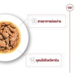 Royal Canin Mini Adult Gravy 12 ซอง (โรยัล คานิน) อาหารเปียกแบบซอง สำหรับสุนัขโตพันธุ์เล็ก อายุ 10 เดือน - 8 ปี - Image 4