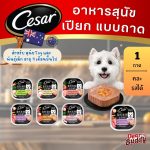 ซีซาร์ คราฟต์ Cesar Craft อาหารเปียกสุนัขโต 85g (1 ถาด) สูตรธรรมชาติ อาหารหมา เกรดซูเปอร์พรีเมียม