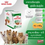 Royal Canin Mini Adult Gravy 12 ซอง (โรยัล คานิน) อาหารเปียกแบบซอง สำหรับสุนัขโตพันธุ์เล็ก อายุ 10 เดือน - 8 ปี