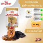 Royal Canin Yorkshire Adult Loaf (โรยัล คานิน) อาหารเปียกแบบโลฟ (เนื้อละเอียด) สุนัขโตพันธุ์ยอร์คไชร์ เทอร์เรีย