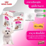 Royal Canin Exigent Loaf 12 ซอง (โรยัล คานิน) อาหารเปียกแบบโลฟ (เนื้อละเอียด) สุนัขโตทุกสายพันธุ์ สุนัขกินยาก ช่างเลือก