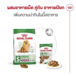 Royal Canin Mini Indoor Senior 8+ อาหารสุนัขสูงวัย พันธุ์เล็ก เลี้ยงในบ้าน อายุ 8 ปีขึ้นไป (โรยัล คานิน) - Image 6