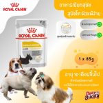 Royal Canin Dermacomfort Loaf (โรยัล คานิน) อาหารเปียกแบบโลฟ สุนัขโตทุกสายพันธุ์ สุนัขผิวแพ้ง่าย