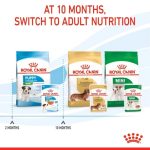 Royal Canin Mini Puppy Gravy 12 ซอง (โรยัล คานิน) อาหารเปียกแบบซอง สำหรับลูกสุนัขพันธุ์เล็ก อายุ 2-10 เดือน - Image 8