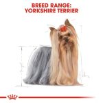 Royal Canin Yorkshire Adult Loaf (โรยัล คานิน) อาหารเปียกแบบโลฟ (เนื้อละเอียด) สุนัขโตพันธุ์ยอร์คไชร์ เทอร์เรีย - Image 3