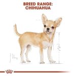 Royal Canin Chihuahua Adult 3kg อาหารสุนัขโตพันธุ์ชิวาวา (โรยัล คานิน) อาหารเม็ด ลดกลิ่นมูล ลดหินปูน - Image 6