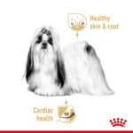 Royal Canin Shih Tzu Adult Loaf (โรยัล คานิน) อาหารเปียกแบบโลฟ (เนื้อละเอียด) สุนัขโตพันธุ์ชิห์สุ - Image 3