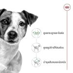Royal Canin Mini Adult Gravy 12 ซอง (โรยัล คานิน) อาหารเปียกแบบซอง สำหรับสุนัขโตพันธุ์เล็ก อายุ 10 เดือน - 8 ปี - Image 3
