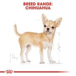 Royal Canin Chihuahua Adult Loaf 12 ซอง (โรยัล คานิน) อาหารเปียกแบบโลฟ (เนื้อละเอียด) สุนัขโตพันธุ์ชิวาวา - Image 3