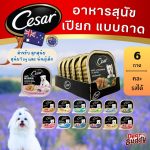Cesar (ซีซาร์) อาหารเปียกสุนัข แบบถาด 100g (6ถาด) อาหารหมา เกรดพรีเมียม นำเข้าจากออสเตรเลีย มีหลายรส