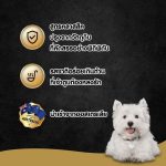 Cesar (ซีซาร์) อาหารเปียกสุนัข แบบถาด 100g (6ถาด) อาหารหมา เกรดพรีเมียม นำเข้าจากออสเตรเลีย มีหลายรส - Image 3