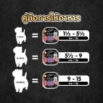 ซีซาร์ คราฟต์ Cesar Craft อาหารเปียกสุนัขโต 85g (1 ถาด) สูตรธรรมชาติ อาหารหมา เกรดซูเปอร์พรีเมียม - Image 6