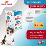 Royal Canin Medium Puppy Gravy 10 ซอง (โรยัล คานิน) อาหารเปียกแบบซอง สำหรับลูกสุนัขพันธุ์กลาง อายุ 2-12 เดือน