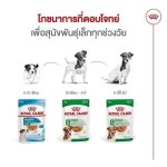 Royal Canin Mini Adult Gravy (โรยัล คานิน) อาหารเปียกแบบซอง สำหรับสุนัขโตพันธุ์เล็ก อายุ 10 เดือน - 8 ปี - Image 6