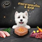 ซีซาร์ คราฟต์ Cesar Craft อาหารเปียกสุนัขโต 85g (7 ถาด) สูตรธรรมชาติ อาหารหมา เกรดซูเปอร์พรีเมียม - Image 3