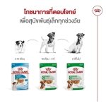 Royal Canin Mini Ageing 8+ Gravy (โรยัล คานิน) อาหารเปียกแบบซอง สำหรับสุนัขสูงวัยพันธุ์เล็ก อายุ 8 ปีขึ้นไป - Image 5