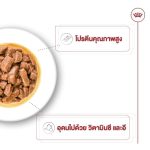 Royal Canin Medium Adult Gravy (โรยัล คานิน) อาหารเปียกแบบซอง สำหรับสุนัขโตพันธุ์กลาง อายุ 1 - 10 ปี - Image 3